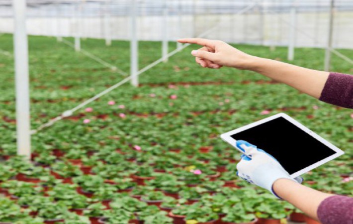 pg电子·(中国区)官方网站-不凡成绩非凡